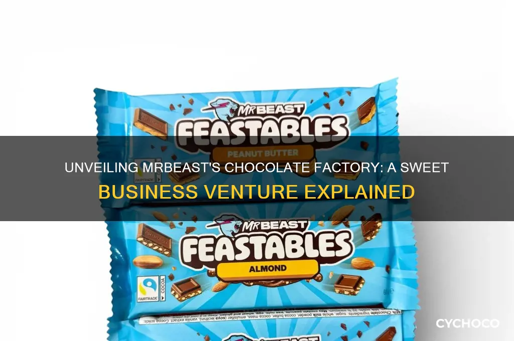 what is mr beast chocolate factory