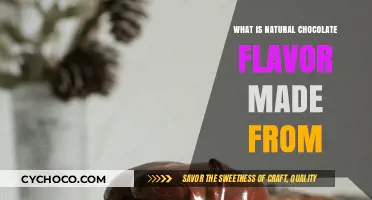 Unveiling the Secret Ingredients of Natural Chocolate Flavor