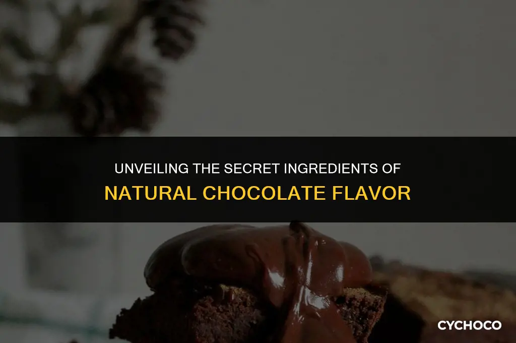what is natural chocolate flavor made from