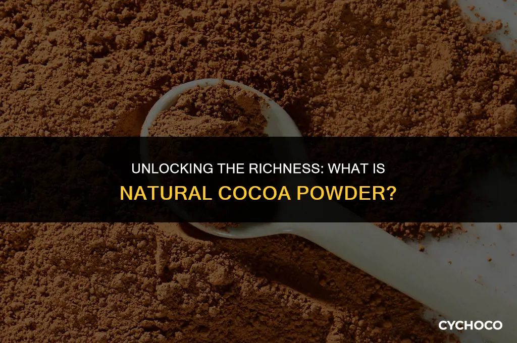 what is natural cocoa powder