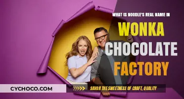 Unveiling Noodle's True Identity in Wonka's Chocolate Factory Mystery