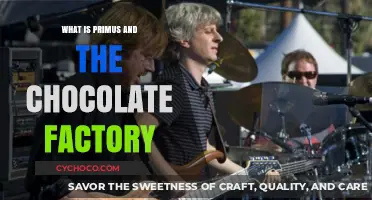 Primus and the Chocolate Factory: A Whimsical Musical Twist Explained