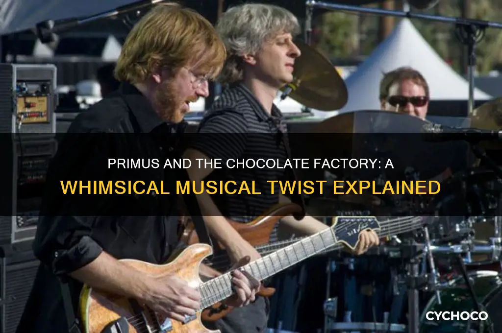 what is primus and the chocolate factory