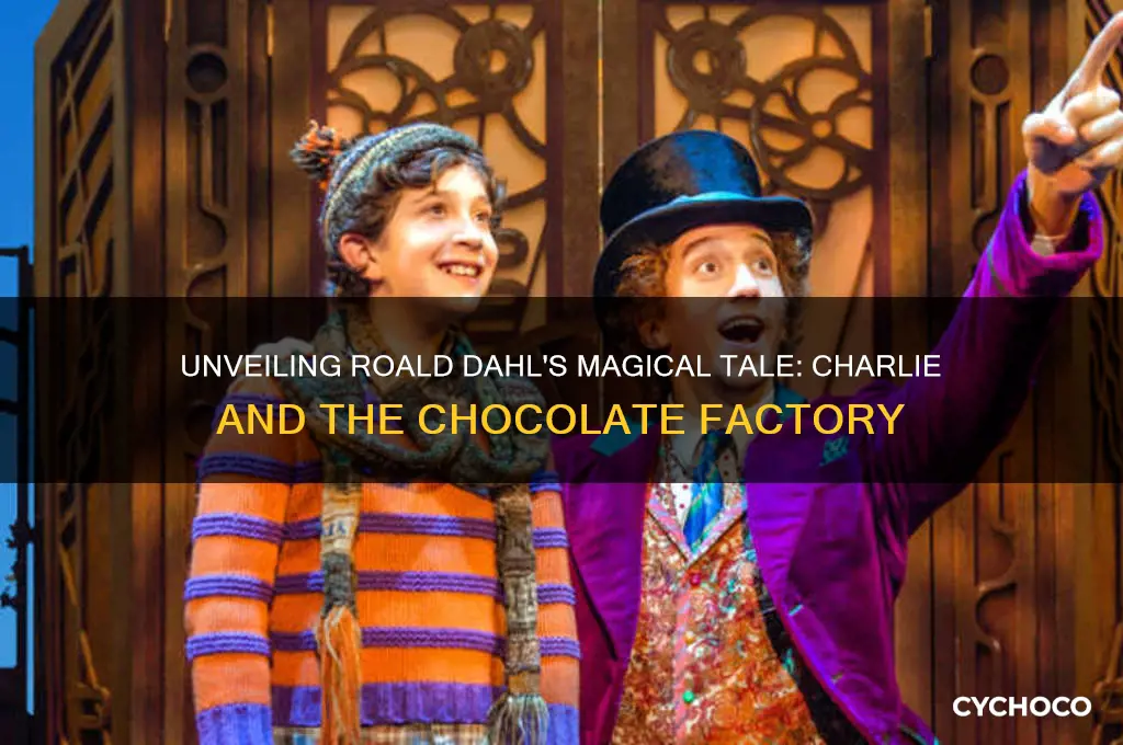 what is roald dahl charlie and the chocolate factory about
