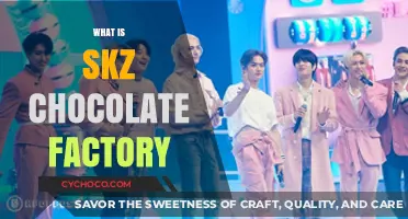Unveiling the Sweet Mystery: SKZ Chocolate Factory Explained