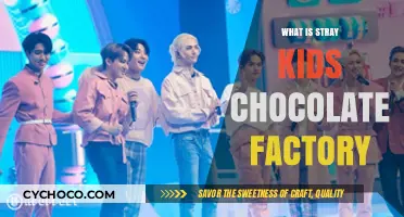 Stray Kids' Chocolate Factory: Unwrapping the Sweet K-Pop Concept