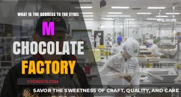 Discover the Sweet Location of Ethel M Chocolate Factory