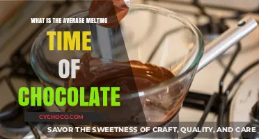 Decoding Chocolate: The Ideal Melting Time for Perfect Texture