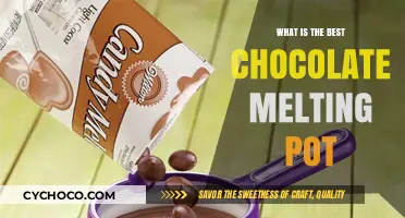 Discover the Ultimate Chocolate Melting Pot for Your Sweet Creations
