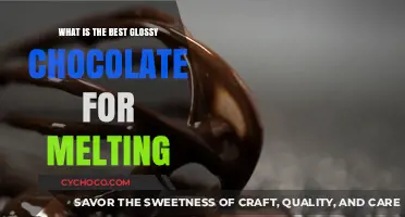 The Ultimate Guide to Melting Glossy Chocolate: Top Picks and Tips