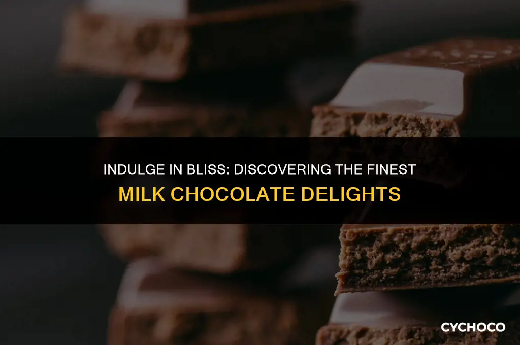 what is the best milk chocolate