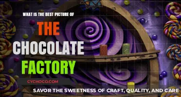 Captivating Chocolate Factory Photos: Discovering the Most Enchanting Image