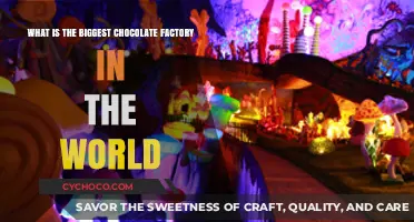Discovering the World's Largest Chocolate Factory: A Sweet Global Giant
