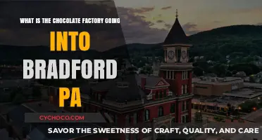 Chocolate Factory Revitalizes Bradford, PA: A Sweet Economic Boost