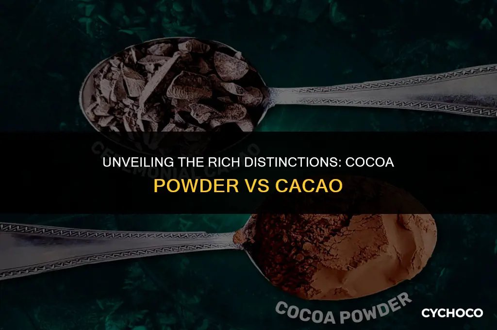what is the difference between cocoa powder and cacao