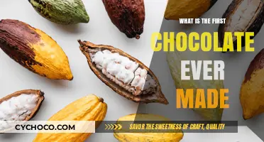 Unveiling the Origins: The Fascinating Story of the First Chocolate
