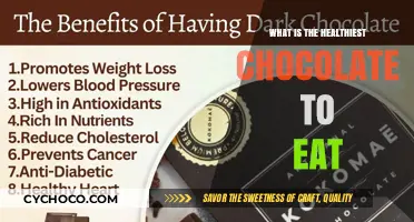 Indulge Guilt-Free: The Ultimate Guide to Healthy Chocolate