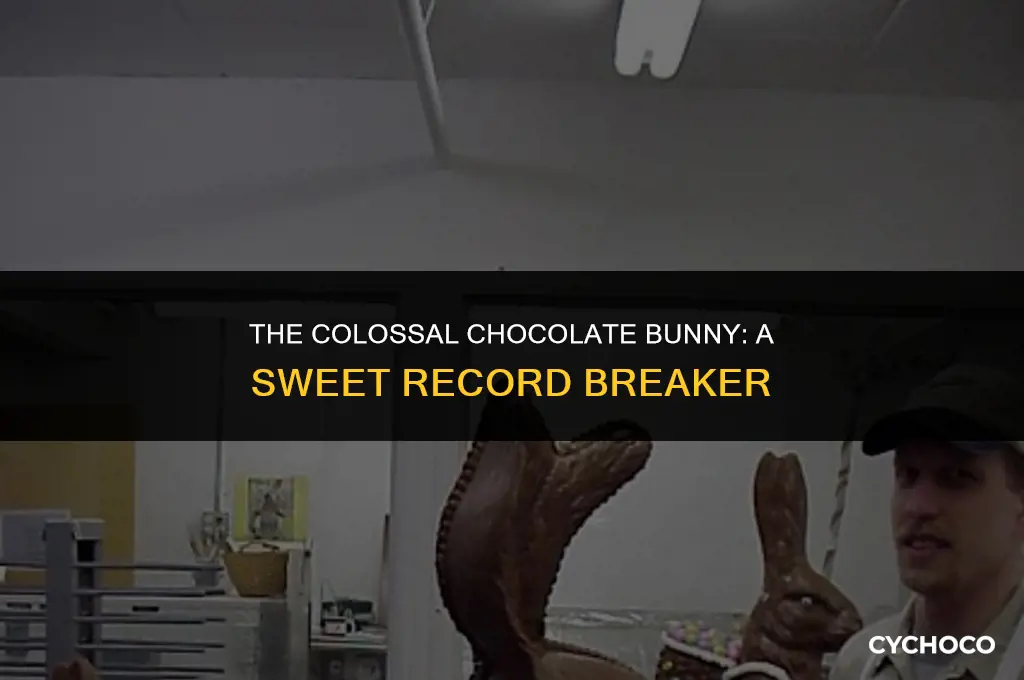 what is the largest chocolate bunny ever made