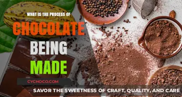 From Bean to Bar: The Artful Journey of Chocolate Making