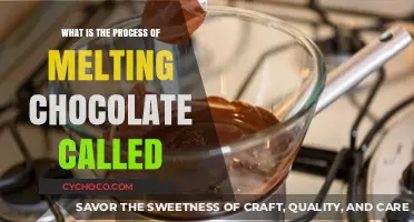 The Art of Chocolate Melting: A Step-by-Step Guide