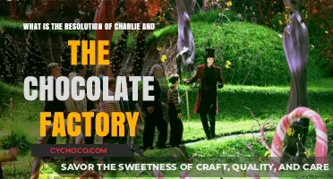 Charlie and the Chocolate Factory: Unwrapping the Sweet Resolution