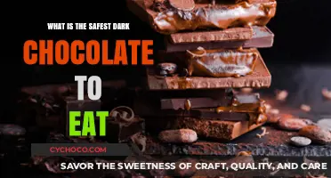 Indulge Safely: The Dark Chocolate Guide for Health-Conscious Connoisseurs