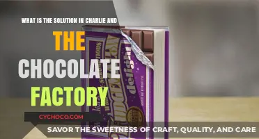 Unveiling the Sweet Solution in Charlie and the Chocolate Factory