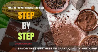 From Bean to Bar: The Artful Journey of Chocolate Making