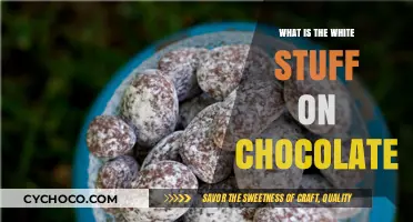 Unveiling the Mystery: What's That White Stuff on Chocolate?