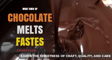 The Melting Point: Which Chocolate Melts the Fastest?
