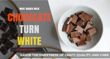 The Sweet Science Behind Milk Chocolate's White Transformation