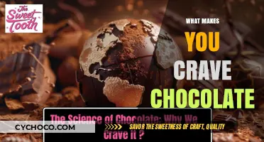 Unraveling the Cravings: What Drives Our Chocolate Obsession?