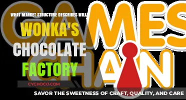 Willy Wonka's Chocolate Factory: A Monopoly Market Structure Analysis