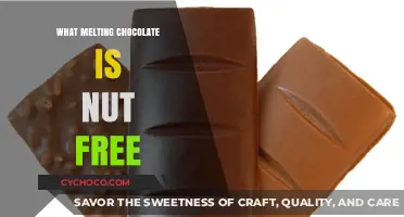 Indulge Safely: Nut-Free Chocolate Melting for All
