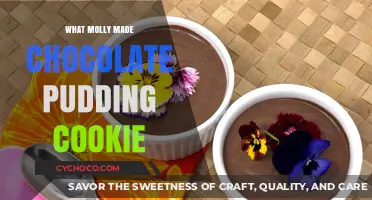 Delightful Chocolate Pudding Cookies: A Sweet Molly Creation