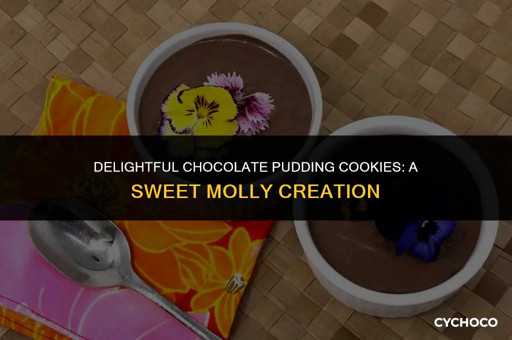 what molly made chocolate pudding cookie
