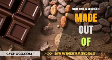 Decoding Chocolate: The Nutty Ingredients Behind Your Favorite Treat