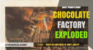 Pennsylvania Chocolate Factory Explosion: Unraveling the Tragic Hershey Incident