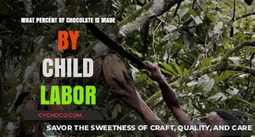 The Bitter Truth: Child Labor's Role in Chocolate Production