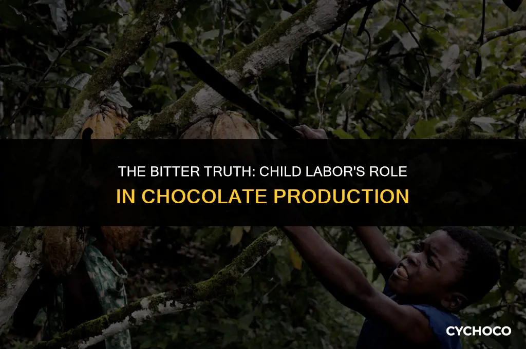 what percent of chocolate is made by child labor