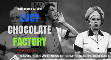 Chocolate Factory Episode: A Seasonal Guide to I Love Lucy