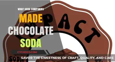 Decoding the Delicious: Which Soda Companies Crafted Chocolate Soda?