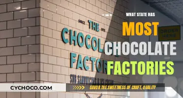Decoding the Sweet Spots: Where Chocolate Factories Flourish Most