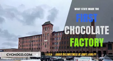 Sweet Beginnings: The Birth of America's First Chocolate Factory