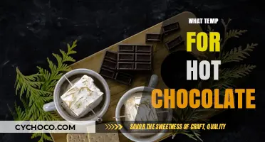 Perfect Hot Chocolate: Ideal Temperature for Rich, Creamy Bliss