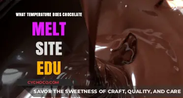 Exploring the Melting Point of Chocolate: A Scientific Journey
