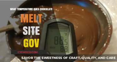 Decoding Chocolate: The Science Behind Melting Points and Perfect Temperatures