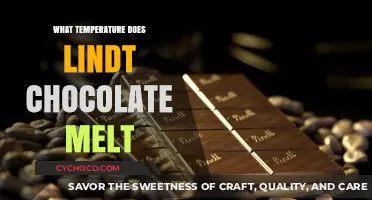 The Perfect Melt: Lindt Chocolate's Ideal Temperature Revealed
