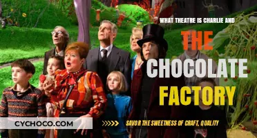 Unwrapping the Magic: Charlie and the Chocolate Factory on Stage
