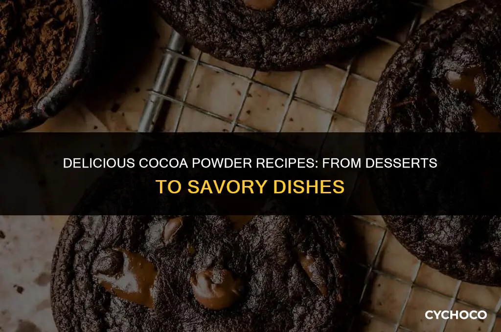 what to cook with cocoa powder